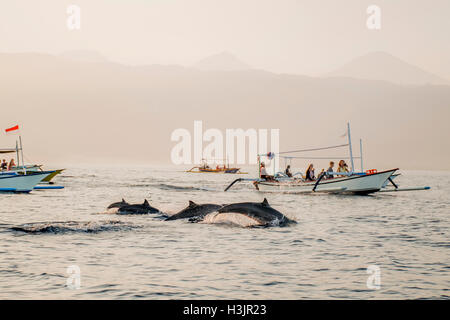 Bali Indonesia free Dolphin boat guardando a Lovina Beach 7 Foto Stock