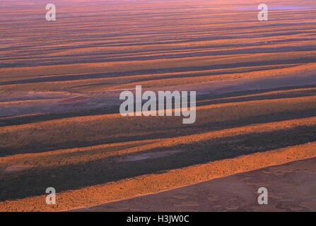 Dune longitudinale sulla pianura alluvionale di argilla e gibber Foto Stock