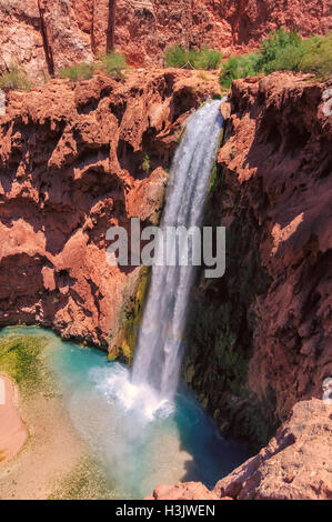 Mooney, cascate Havasupai Indian Reservation, oasi nel Grand Canyon Foto Stock