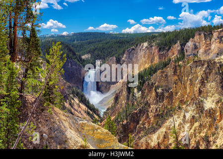 Parco nazionale di Yellowstone, cascate inferiori, Wyoming - stati uniti d'America Foto Stock