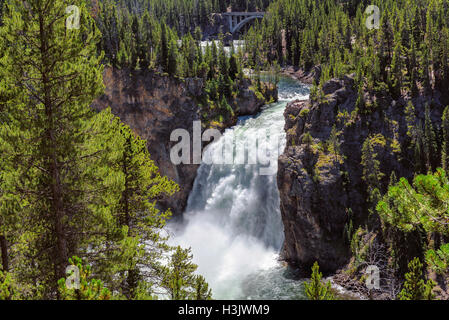 Scende al Grand Canyon del parco nazionale di Yellowstone Foto Stock