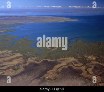 Saline costiere appartamenti soddisfano le mangrovie Foto Stock