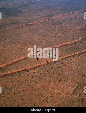 Tanami Desert vegetazione: spinifex, deserto querce e acacie, Foto Stock