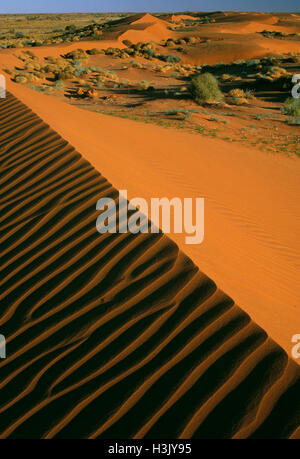 Dune di sabbia, Foto Stock