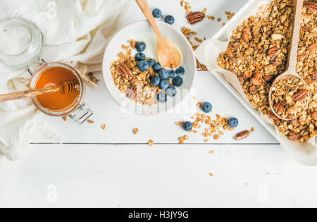 Oat granola con dadi, yogurt, miele e mirtilli Foto Stock