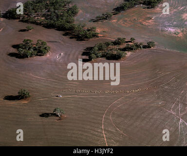 Fotografia aerea della terra di sdoganamento per l'agricoltura Foto Stock