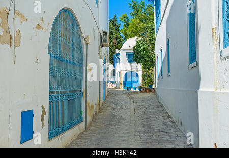 I tipici di Sidi Bou Said street con le case bianche, porte e finestre blu, Tunisia. Foto Stock