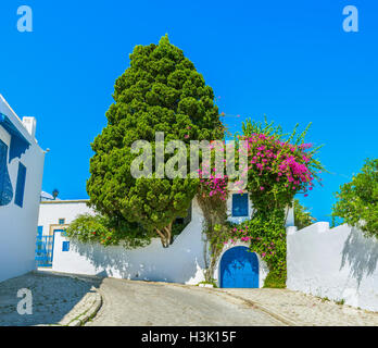 Il paese vanta perfettamente giardini paesaggistici con molti fiori e alberi ombrosi, Sidi Bou Said, Tunisia. Foto Stock