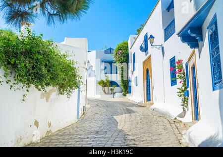 Il villaggio di Sidi Bou Said è il posto perfetto per trascorrere una vacanza, Tunisia. Foto Stock