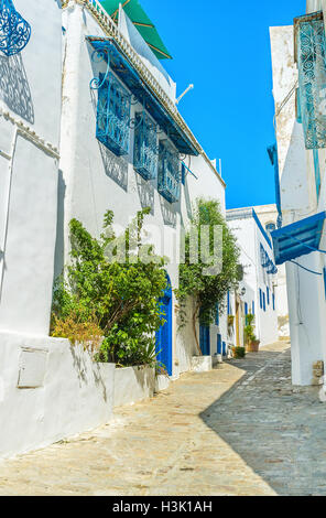 Le strade strette e piccoli parchi di Sidi Bou Said sono quasi vuoti nel Mezzogiorno, turisti preferiscono rilassarsi sulla spiaggia, Tunisia. Foto Stock