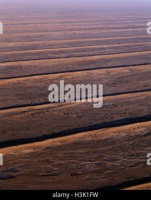 Dunefields, dune e interdune corridoi Foto Stock