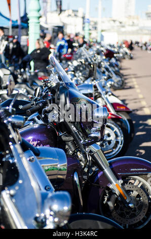 Brighton, Regno Unito. 9 Ott, 2016. Migliaia di ciclisti amichevole, principalmente con la Harley Davidsons, caldo e barre di pendolari, scendono sul lungomare di Brighton di unità di Madera per l'annuale evento Brightona. L'evento di beneficenza, la raccolta di fondi per il Sussex cuore la carità, ha musica su tre fasi, un muro della morte e un giro fuori per raccogliere il sindaco dalla sua casa di famiglia ad aprire ufficialmente l'evento. Credito: Francesca Moore/Alamy Live News Foto Stock