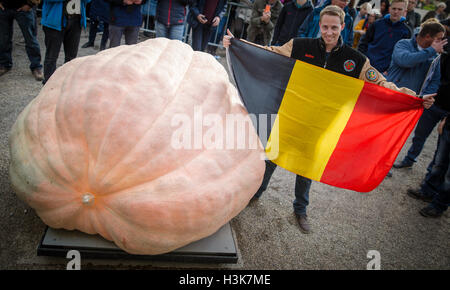 Ludwigsburg, Germania. 09oct, 2016. Rivale belga Mathias Willemijns pone con la sua presentato squash al Campionato Europeo Weigh-Off Zucca, un concorso in Ludwigsburg, Germania, 09 ottobre 2016. La zucca coltivata da Willemijns pesate a 1190.5 kg, protezione di lui sia al primo posto nel concorso e stabilendo un nuovo record mondiale. Foto: Christoph Schmidt/dpa/Alamy Live News Foto Stock