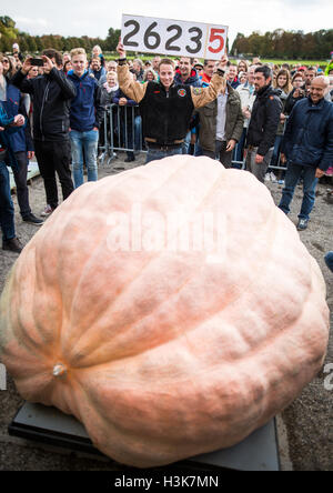 Ludwigsburg, Germania. 09oct, 2016. Rivale belga Mathias Willemijns pone con la sua presentato squash al Campionato Europeo Weigh-Off Zucca, un concorso in Ludwigsburg, Germania, 09 ottobre 2016. La zucca coltivata da Willemijns pesate a 1190.5 kg, protezione di lui sia al primo posto nel concorso e stabilendo un nuovo record mondiale. Foto: Christoph Schmidt/dpa/Alamy Live News Foto Stock