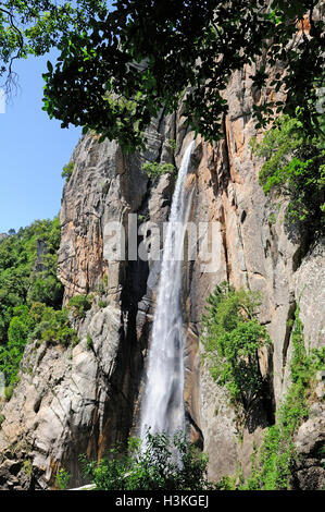 La cascata e canyon Piscia di Gallo, Corsica, Francia Foto Stock