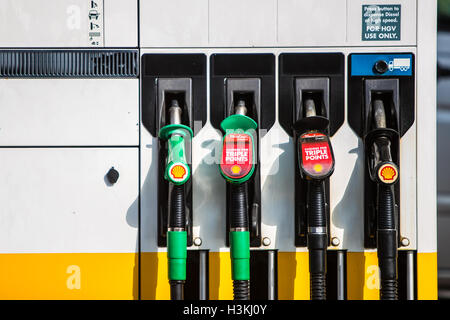 Guscio di pompe di benzina London Regno Unito Foto Stock