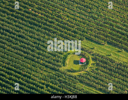 Fotografia aerea, apple raccolto in Scharnhorst, corte Mertin nel campo Wolf, colonne di mietitura, mietitura assistant, Foto Stock