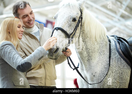 Carino White Horse Foto Stock