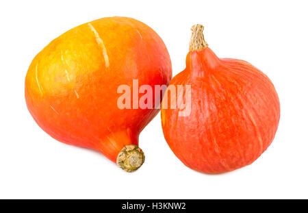 Le zucche kuri rosso hokkaido isolato su bianco Foto Stock