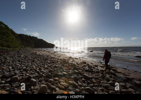 Sulla costa dell'Ayrshire, in Scozia. Vista profilarsi di un viandante sulla costa dell'Ayrshire, nelle vicinanze Culzean Castle a Culzean Bay. Foto Stock