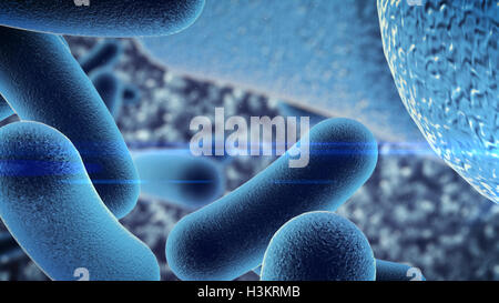 3D rendering di un germe batteri al microscopio Foto Stock