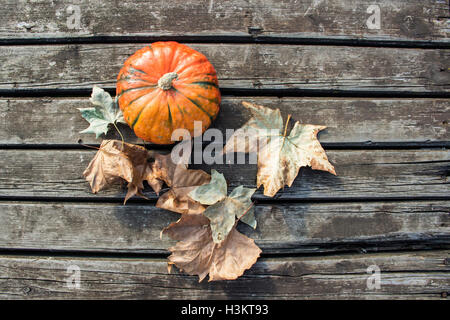 A Belgrado, in Serbia - zucca e foglie su un weathered superficie in legno Foto Stock