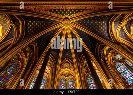 Gotico Rayonnant soffitto a volta della cappella inferiore di Sainte Chapelle, Ile de la Cite, Parigi, Francia Foto Stock