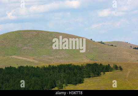 Splendide vedute panoramiche del monte Zlatibor Foto Stock