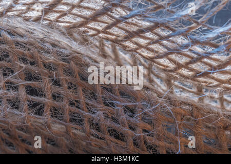 Macro-fotografia di fibra naturale, tela di iuta saccheggi materiale che mostra il dettaglio delle filettature fini. Foto Stock