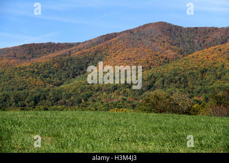 Caduta del paesaggio in Blue Ridge Mountains, Virginia Foto Stock