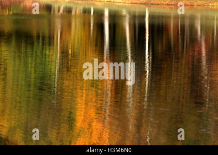 Immagine di alberi in autunno colori riflessi nell'acqua Foto Stock