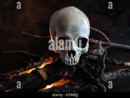 Halloween teschio umano con fuoco di legno Foto Stock