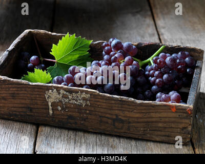 Fresca frutta organica, uva fragola Foto Stock