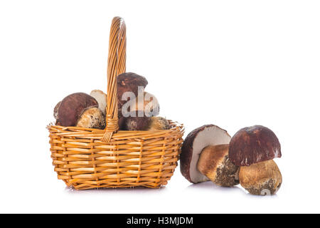 Boletus edulis in un cesto di vimini isolato su uno sfondo bianco Foto Stock