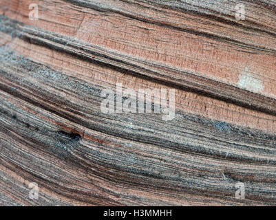 Formazioni di arenaria in primo piano a scogliere Veczemju Vidzeme Lettonia Foto Stock