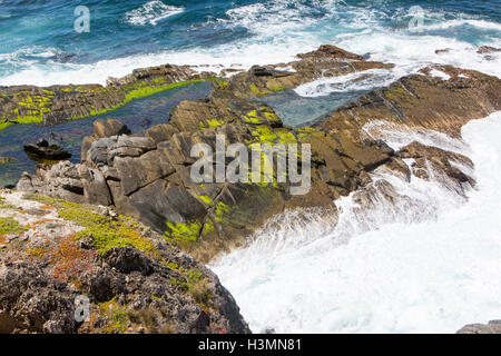 Costa frastagliata nei pressi di Admirals Arch a sud ovest di punta di Kangaroo Island, Parco Nazionale di Flinders Chase e Cape du Couedic Foto Stock