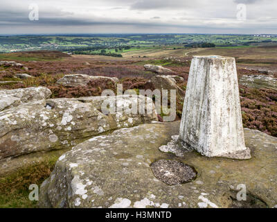 Trig punto ad alta rupe su Heather Moorland vicino ponte Pateley Nidderdale North Yorkshire, Inghilterra Foto Stock