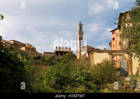 La parte posteriore del Palazzo Pubblico, con la Loggia dei nove e la Torre del Mangia, dall'Orto de' Pecci, Siena, Italia Foto Stock