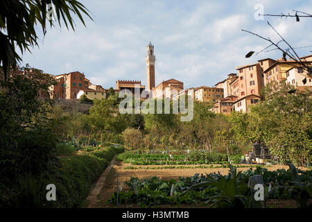 La parte posteriore del Palazzo Pubblico, con la Loggia dei nove e la Torre del Mangia, dall'Orto de' Pecci a Siena, Toscana, Italia Foto Stock