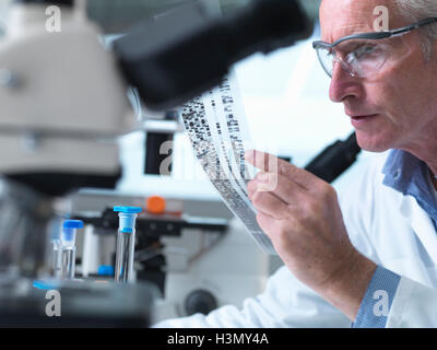 Ricercatore in possesso di un gel di DNA durante un esperimento genetico in un laboratorio Foto Stock