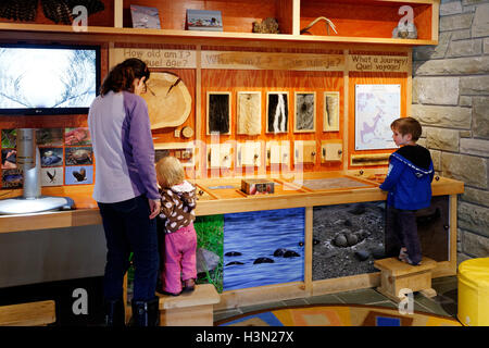Una famiglia guardando il museo interattivo presenta in Kouchibouguac Parco Nazionale del centro visitatori, New Brunswick Canada Foto Stock