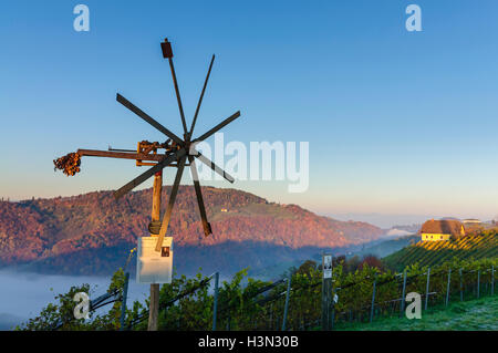 Kitzeck im Sausal (Südsteirisches Weinland): vigneti e Klapotetz (vento ruota, utilizzato come bird scarer) all'alba, Südwest-Stei Foto Stock