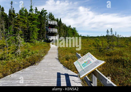 Il Boardwalk e torre di osservazione sul Bog a piedi Kouchibouguac nel Parco Nazionale di New Brunswick Canada Foto Stock