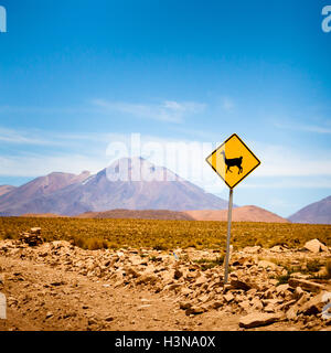 Llama cartello stradale in Bolivia, Ande, Sud America Foto Stock