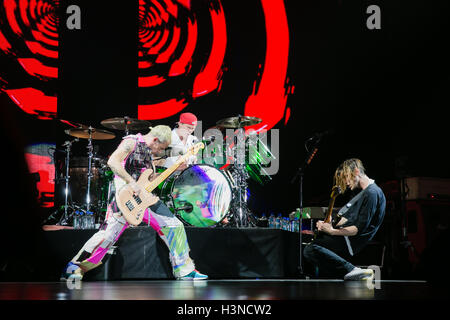 Torino, Italia. 10 ottobre 2016 i peperoncini rossi hanno suonato dal vivo a Torino Credit: Daniele Baldi Foto Stock