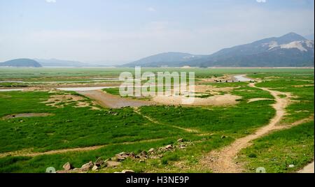 Nanchang, cinese della provincia di Jiangxi. 10 ottobre, 2016. Una grande area esposta di letto del lago Poyang è visto nella città di Lushan, Cina orientale della provincia di Jiangxi, Ottobre 10, 2016. Cina il più grande lago d'acqua dolce, Lago Poyang, ha visto ridurre drasticamente il livello di acqua negli ultimi giorni. Il lago ha colpito a basso livelli di acqua di circa 54 giorni prima rispetto alla media degli anni precedenti, secondo le statistiche del Jiangxi provinciale ufficio idrografico. © Hu Chenhuan/Xinhua/Alamy Live News Foto Stock