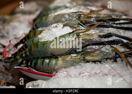 Asian gamberoni gamberetti per la vendita ad un pesce di stallo in un mercato in Thailandia. Foto Stock