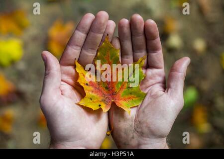 Modifica di stagione in mani Foto Stock