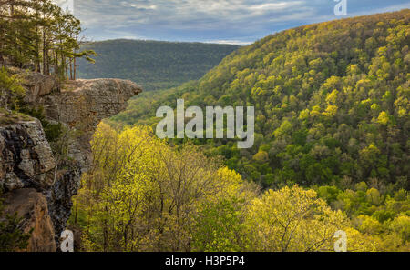 Ozark National Forest, AR: Hawksbill roccioso in alto a Buffalo Wilderness Area Foto Stock