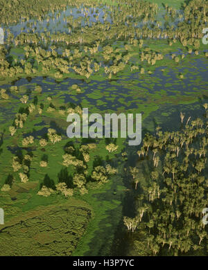 Magela Creek zone umide Paperbark palude, Foto Stock